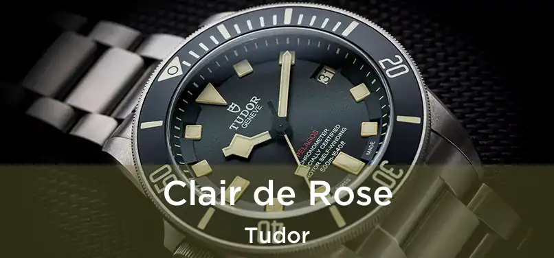  Clair de Rose Tudor