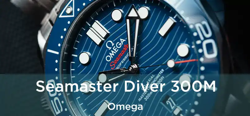  Seamaster Diver 300M Omega